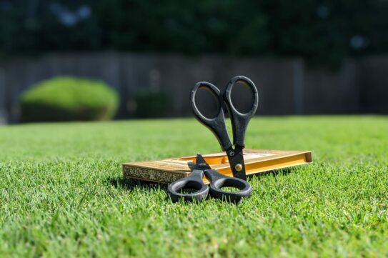 PXL_20220412_225937009.PORTRAIT